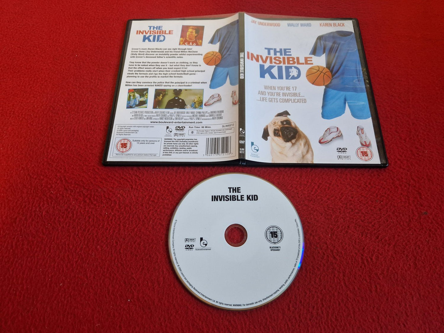 THE INVISIBLE KID DVD