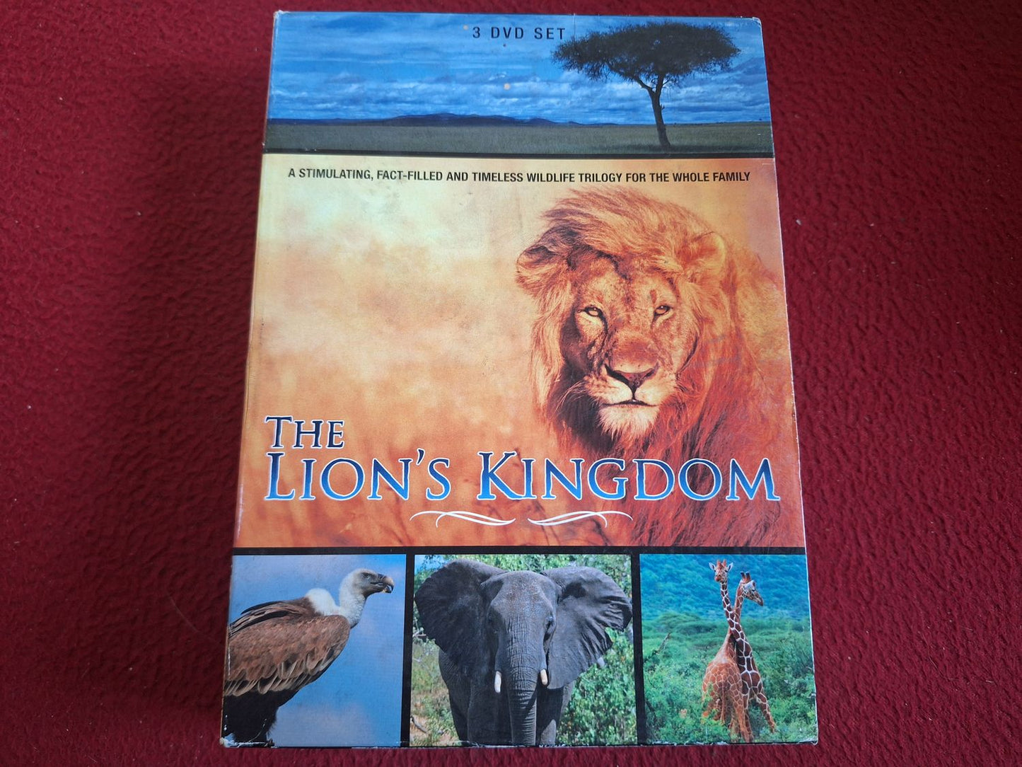 THE LION'S KINGDOM BOX DVD