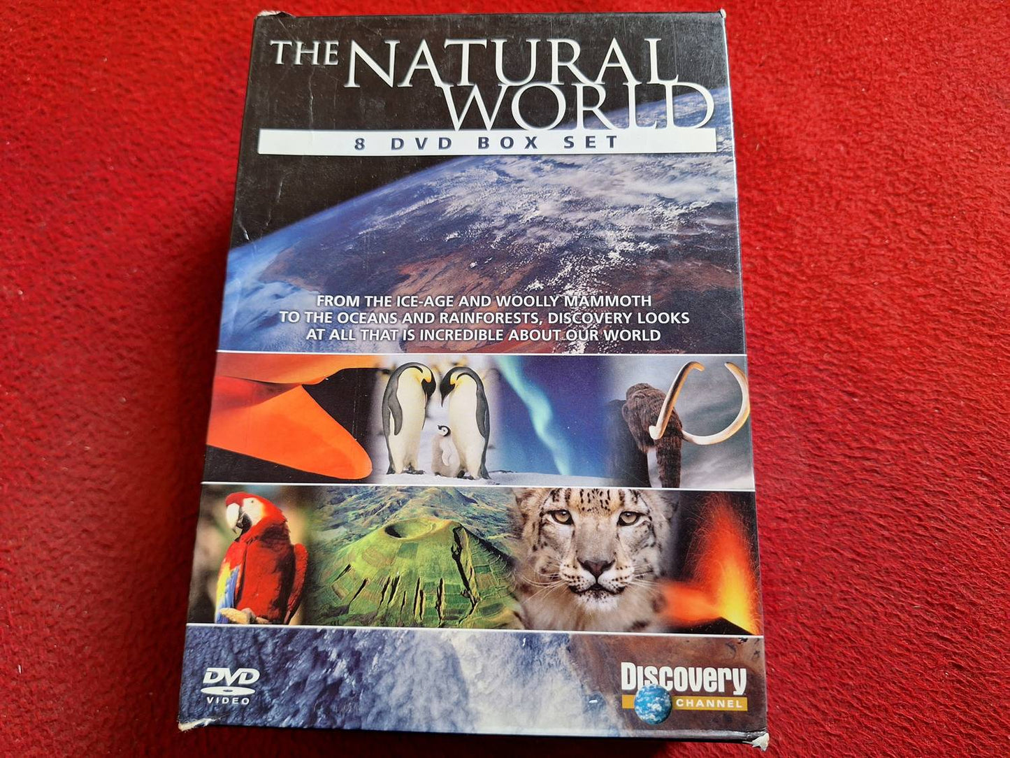 THE NATURAL WORLD 8 DVD BOX SET DVD
