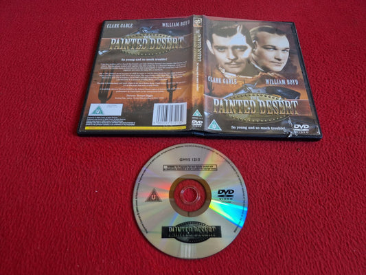 THE PAINTED DESERT DVD
