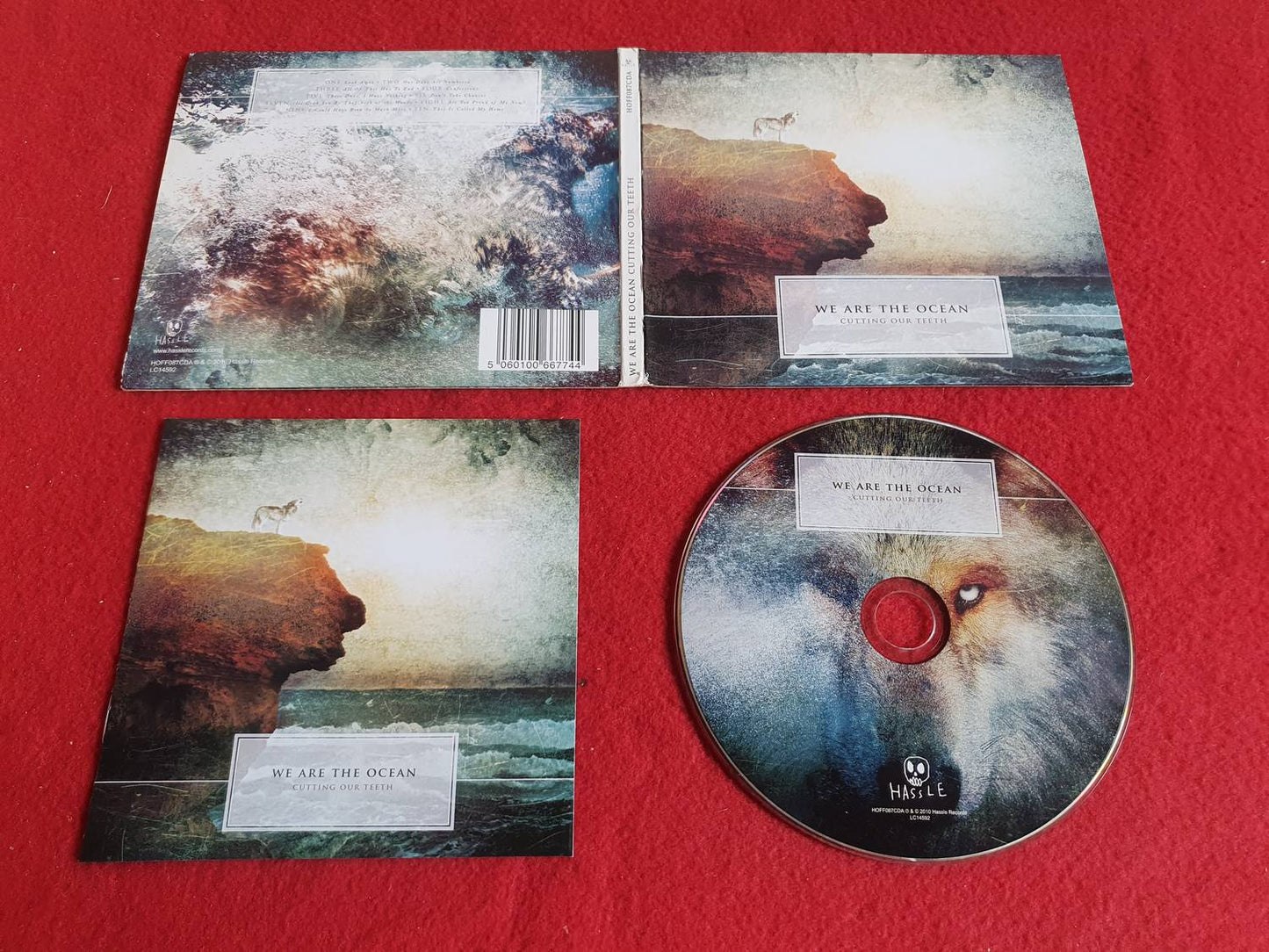 WE ARE THE OCEAN CUTTING OUR TEETH till CD