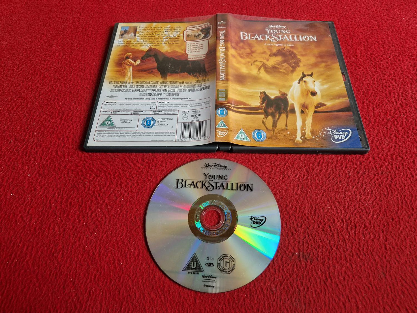 YOUNG BLACK STALLION DVD